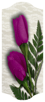 DARAY-C-053 2 Roses Orchid